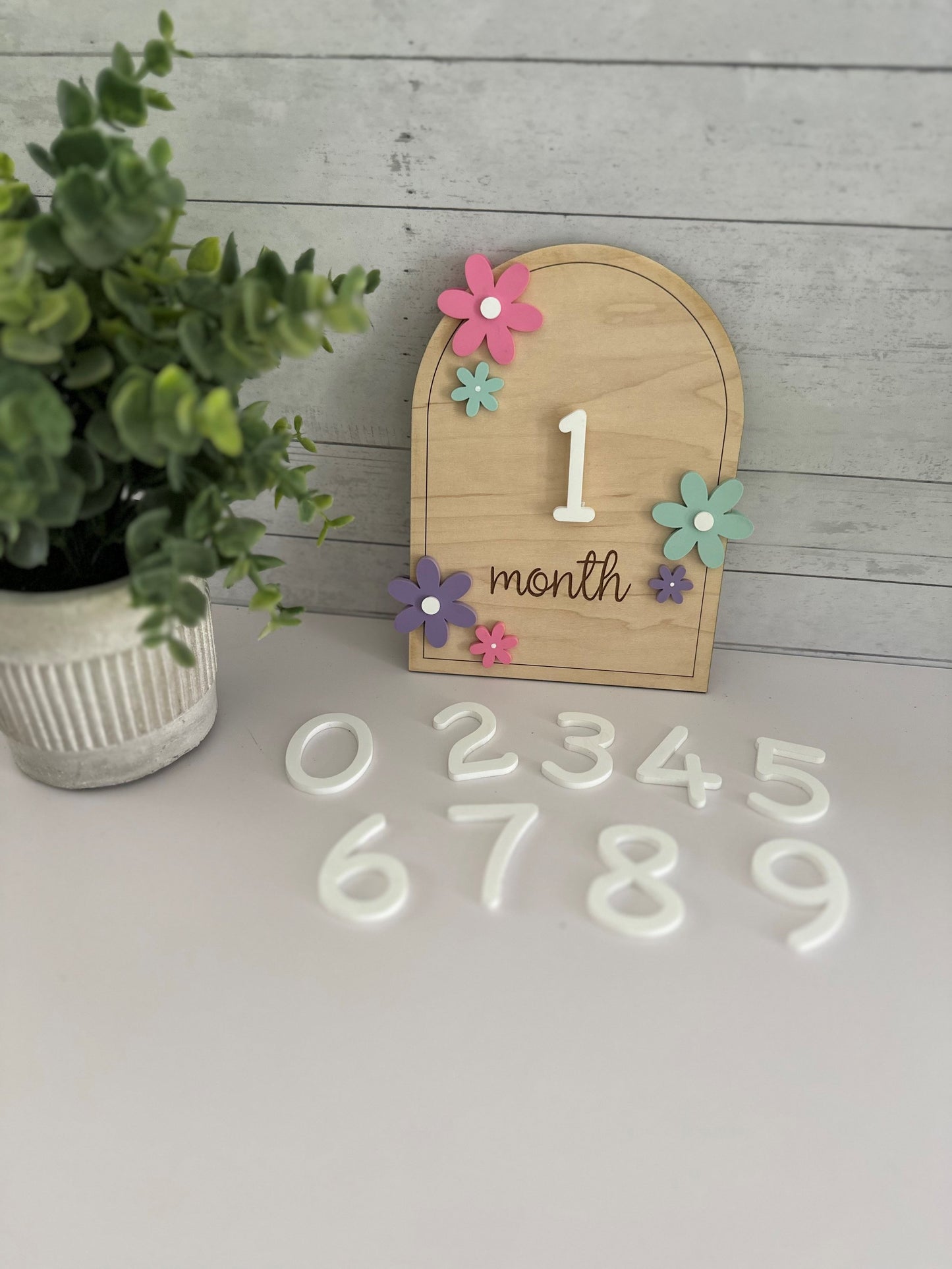 Flower Interchangeable Milestone Photo Prop