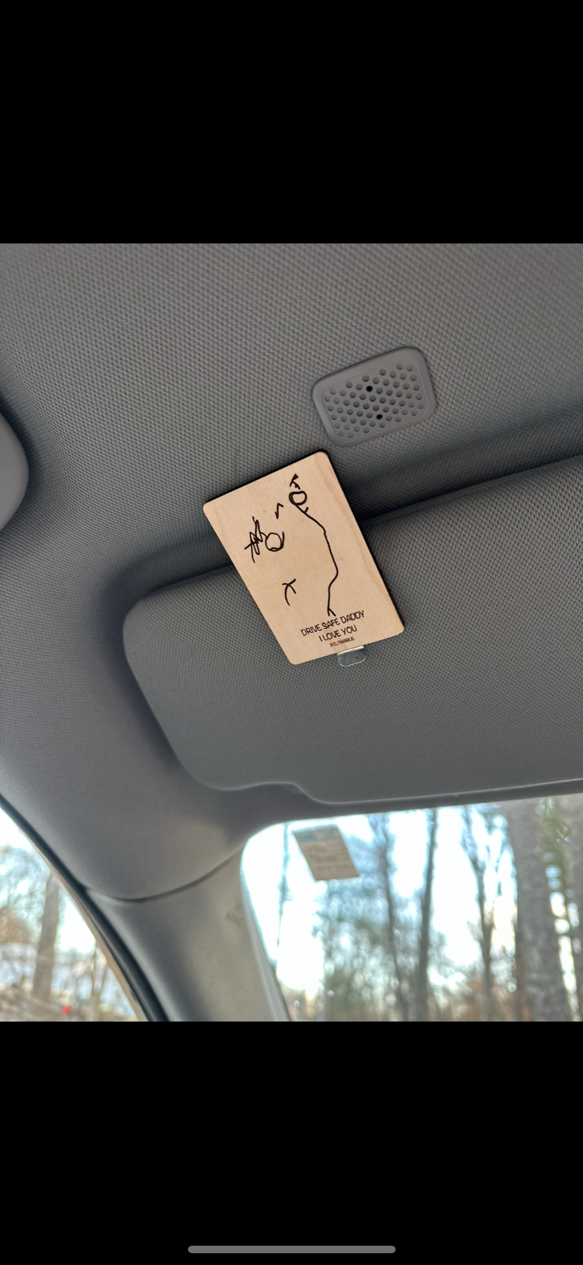 Car Visor Clip / Fridge Magnet