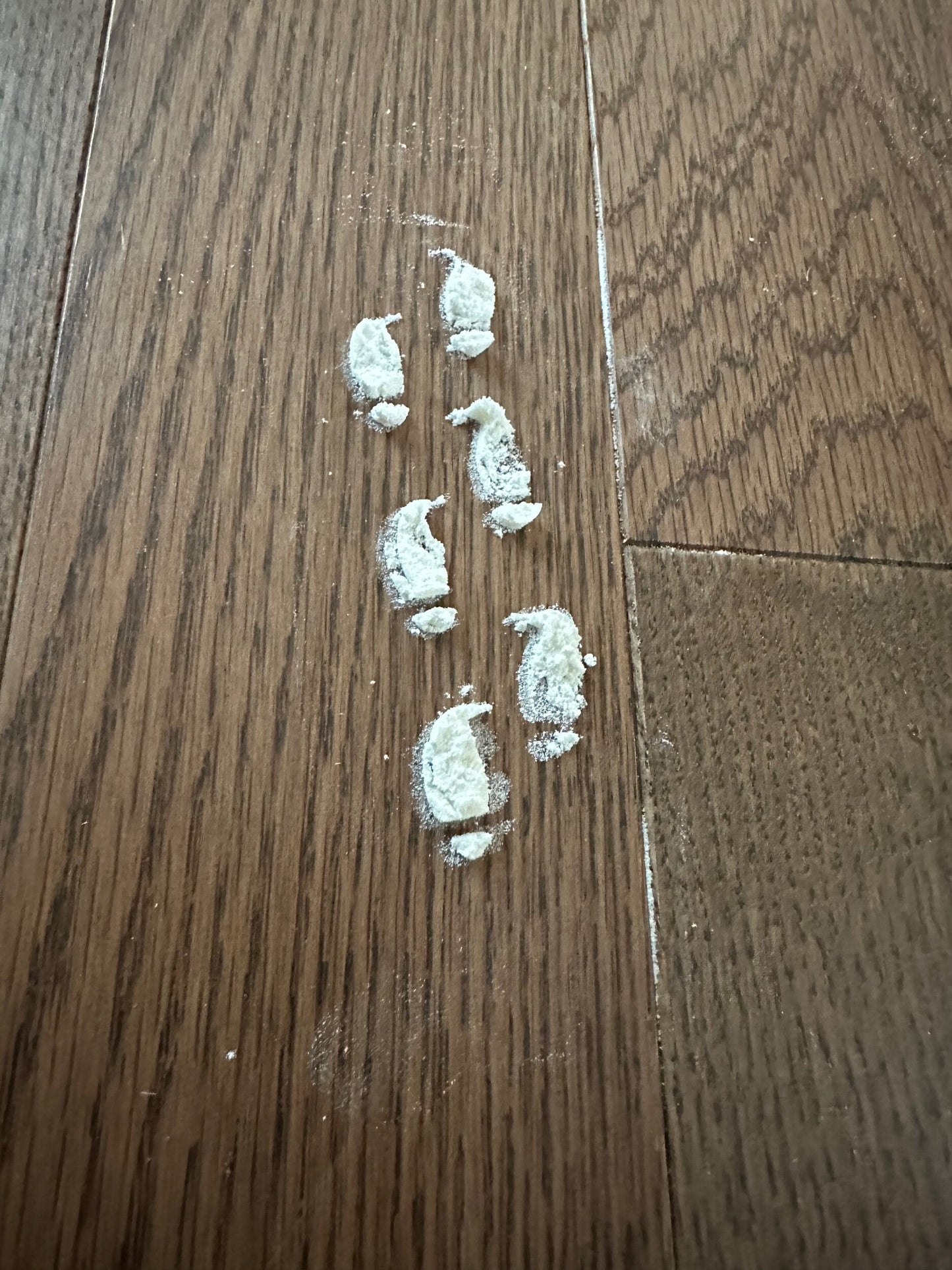 Santa Claus, Reindeer, Elf Footprint Stencils