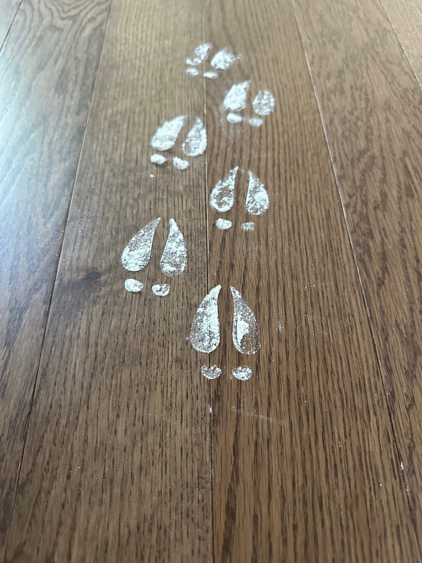 Santa Claus, Reindeer, Elf Footprint Stencils